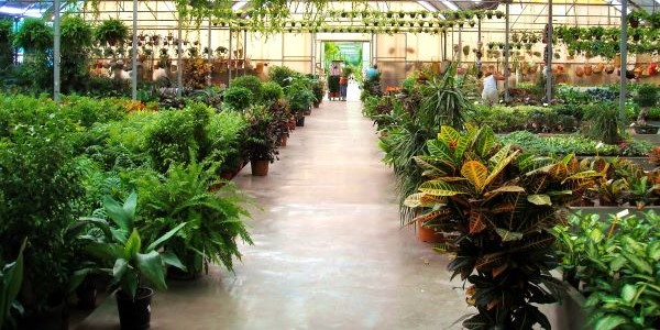 NIT Product Screenshot